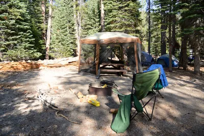 DSC_3512 (Large).JPG